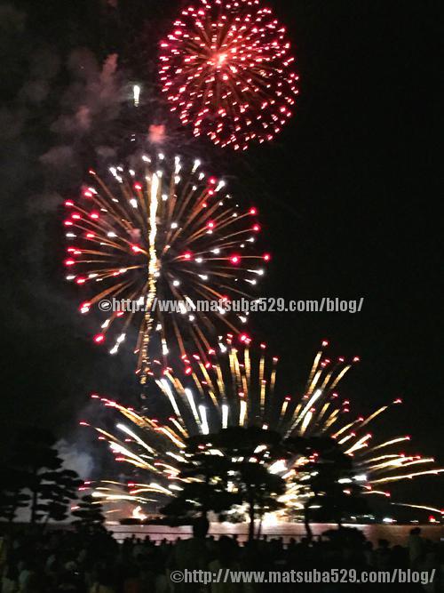 7月 15 松葉blog お綺楽日記