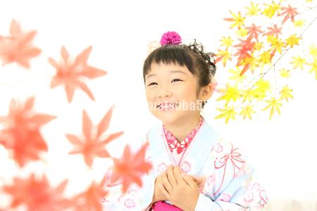 七五三753記念撮影莉緒6